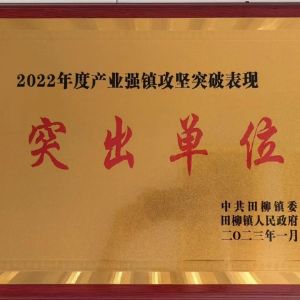 突出單位
